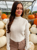 Oatmeal Pointelle Sweater