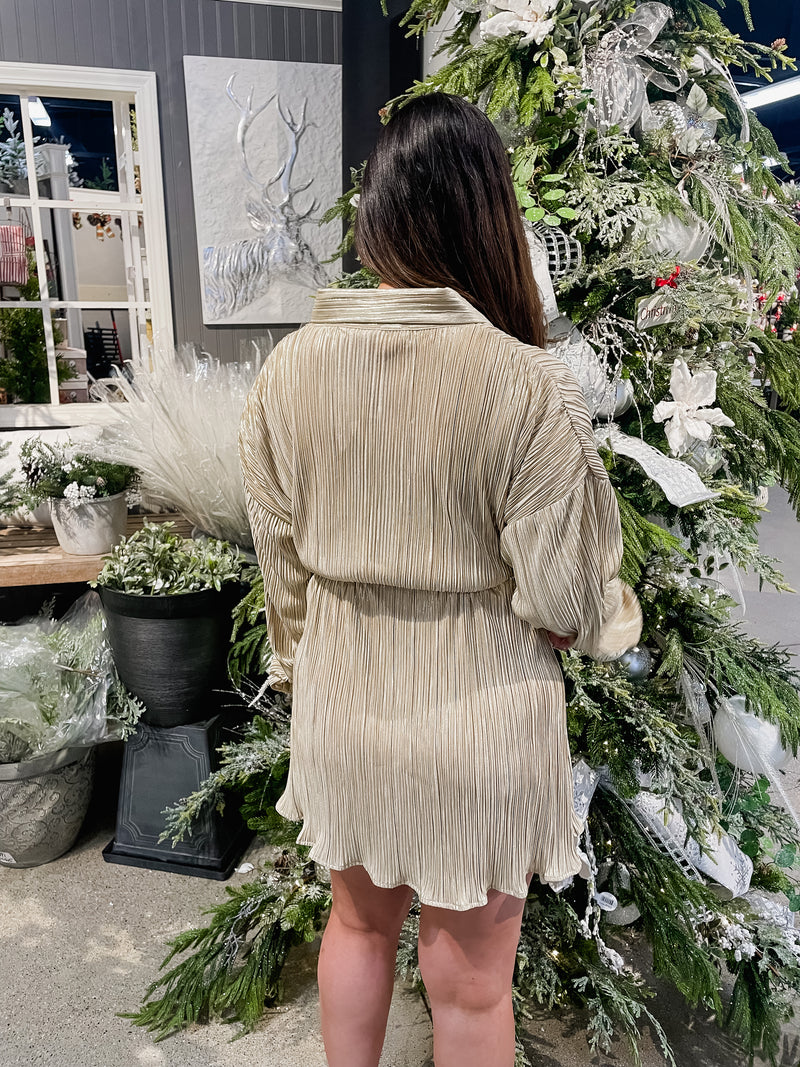 Pop The Champagne Pleated Dress